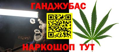 прущие грибы Обь