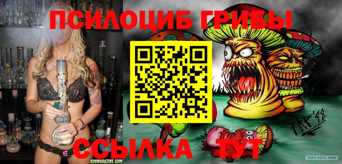 Севастополь  Псилоцибиновые грибы GOLDEN TEACHER  наркошоп  Вход с VPN 
